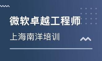 上海Microsoft卓越工程師系列課程價(jià)格與軟件開(kāi)發(fā)培訓(xùn)機(jī)構(gòu)對(duì)比分析